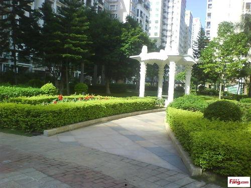 铜兴花园爆料最新消息新闻,业主维权事件持续发酵，官方回应引关注  第2张